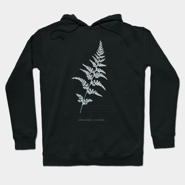 Fern - Gymnogramma Sulphurea - X-ray effect - 03 Hoodie by SPJE Illustration Photography